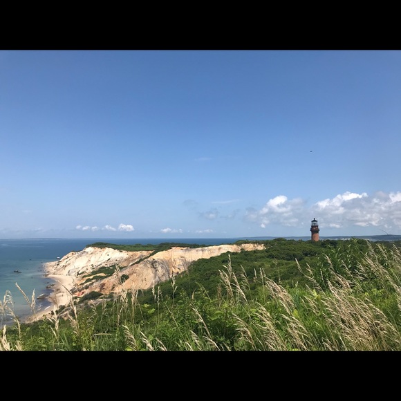 Meet your Posh Ambassador, Lauren - Picture 3 of 4